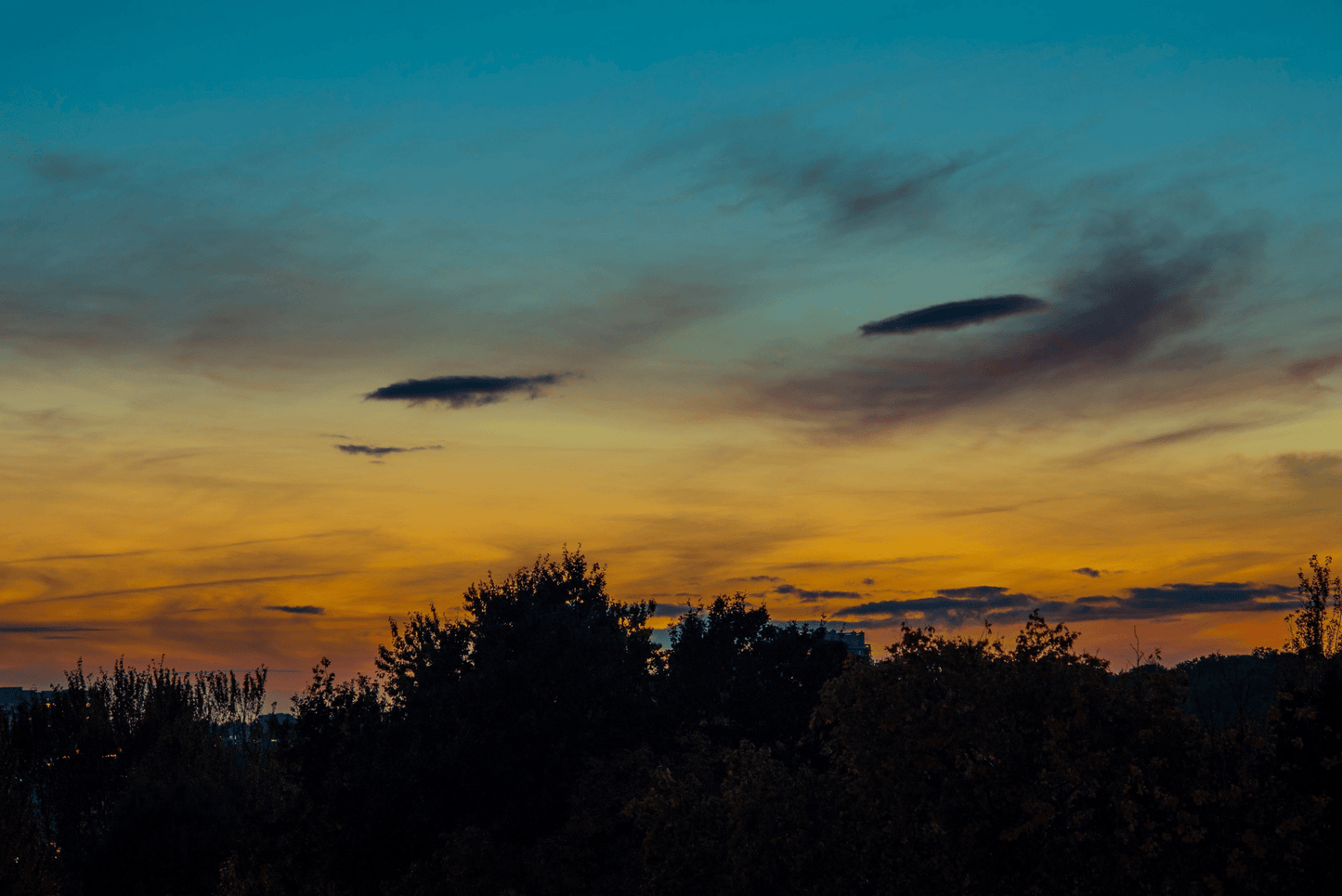 Asahi Super Takumar 135mm F3.5 Cine Mod Lens w/ Anamorphic Bokeh | Sony E - mount! - TerPhoto Store