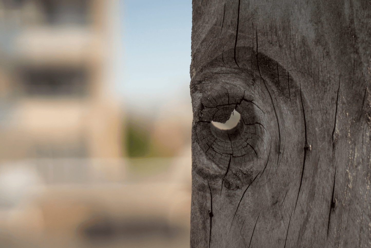 Asahi Super-Takumar 55mm F1.8 Cine Mod Lens w/ Anamorphic Bokeh For Sony E-mount - TerPhoto Store