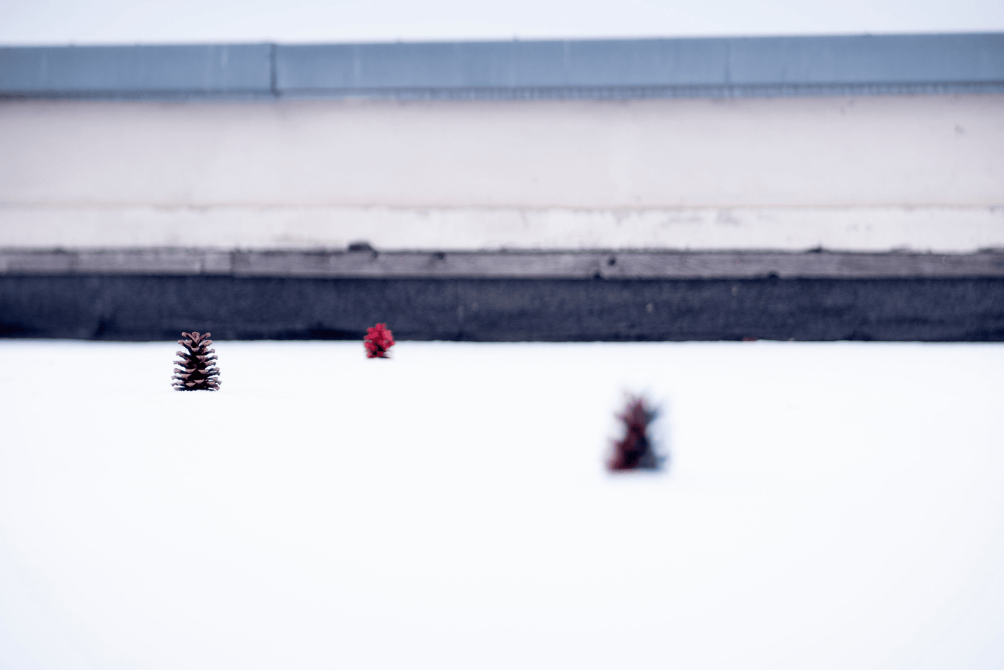 Greens Federal Auto 135mm F2.8 w/ Anamorphic Bokeh For Canon EF Mount! - TerPhoto Store