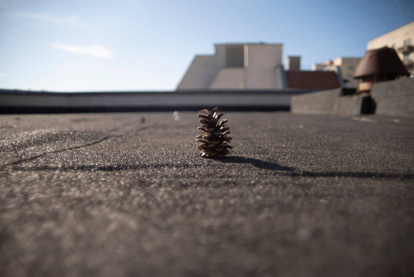 Vivitar MC Wide Angle 24mm F2 Cine Mod Vintage Prime Lens for Sony E - mount! - TerPhoto Store