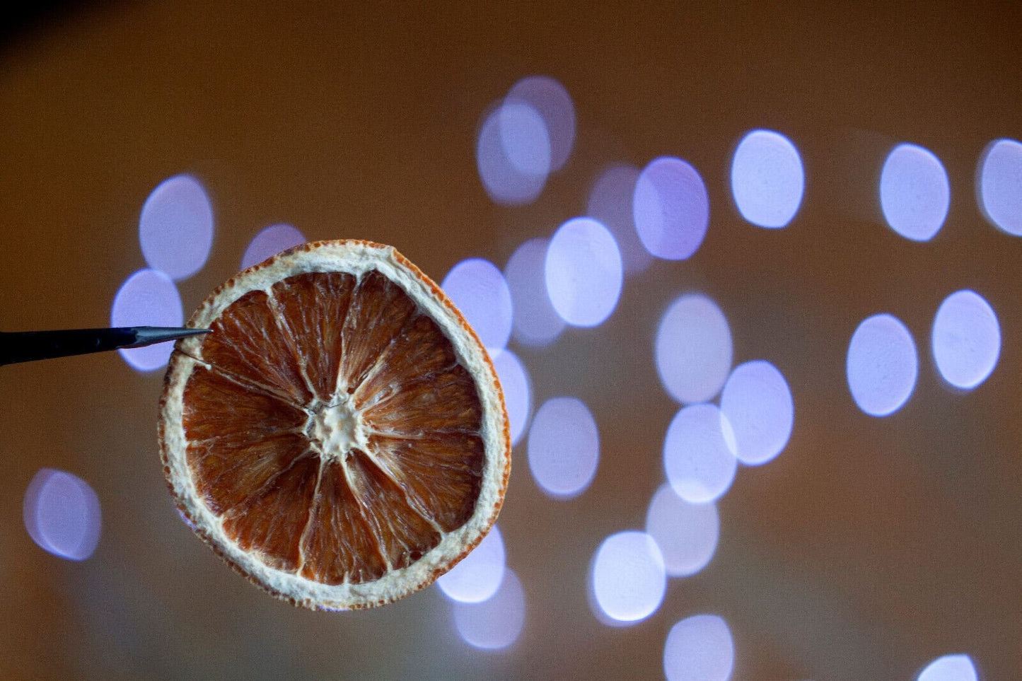 Zenit MC Zenitar-M 50mm F1.9 Prime Cine Lens w/ Anamorphic Bokeh Canon EF Mount - TerPhoto Store