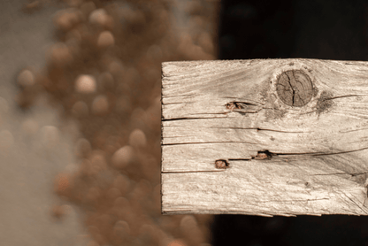 Asahi Super-Takumar 55mm F1.8 Cine Mod Lens w/ Anamorphic Bokeh For Sony E-mount - TerPhoto Store