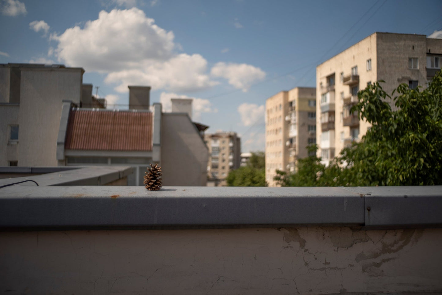 Canon FL 35mm F2.5 Cine Mod Classic Prime Wide Angle Lens For Sony E-mount! - TerPhoto Store