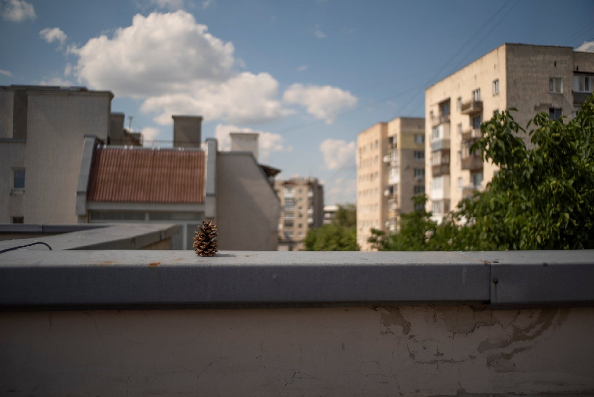 Canon FL 35mm F2.5 Cine Mod Classic Prime Wide Angle Lens For Sony E-mount! - TerPhoto Store