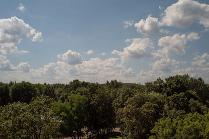 Canon FL 35mm F2.5 Cine Mod Classic Prime Wide Angle Lens For Sony E-mount! - TerPhoto Store