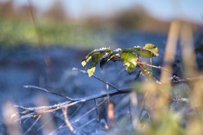 Helios 44 2/58 Prime Cine Mod Lens For Filmmaking | Sony E-mount! 44M-4 58mm F2! - TerPhoto Store