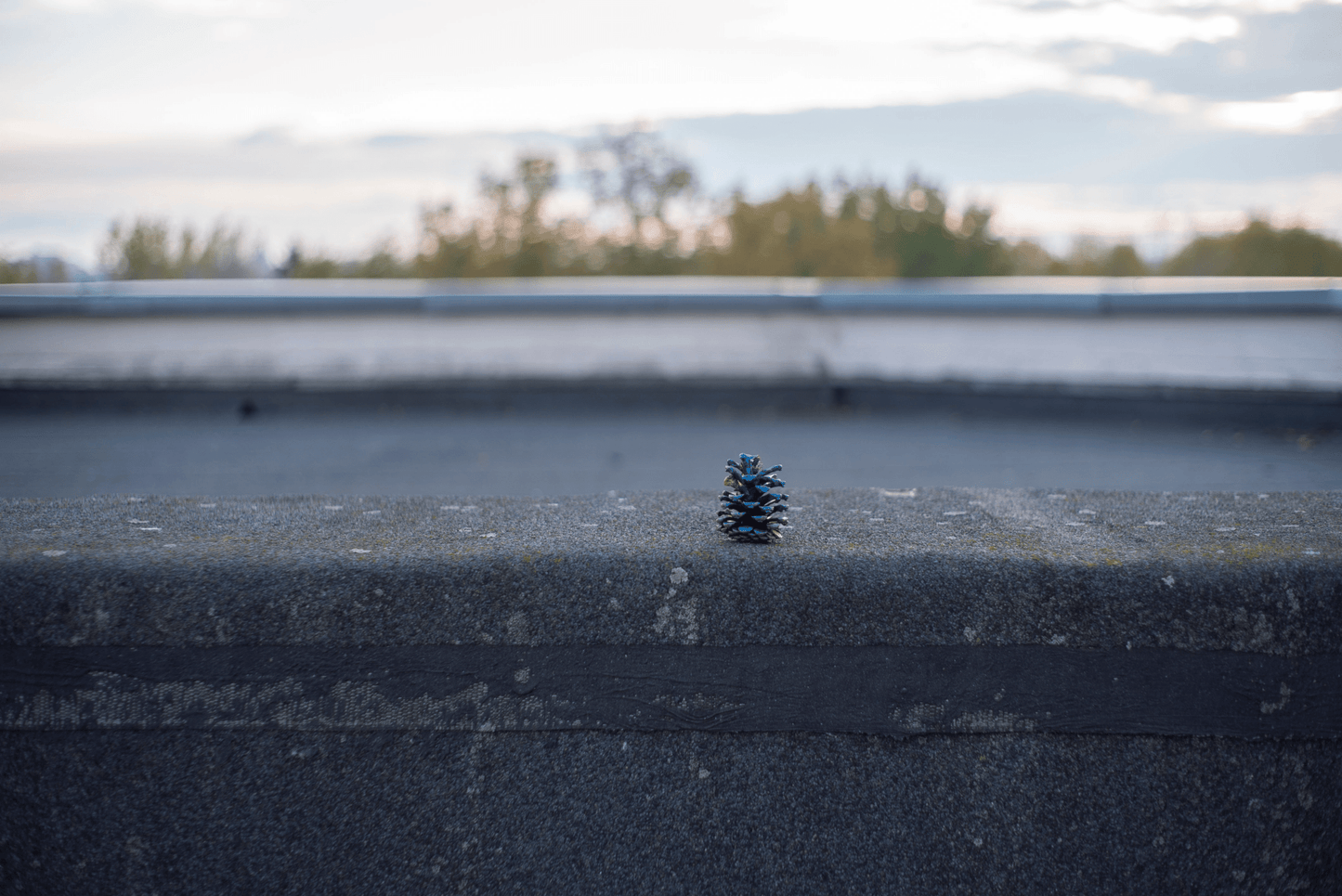 Minolta MD 50mm F1.7 Cine Mod Prime Lens w/ Anamorphic Bokeh | Sony E-mount! - TerPhoto Store