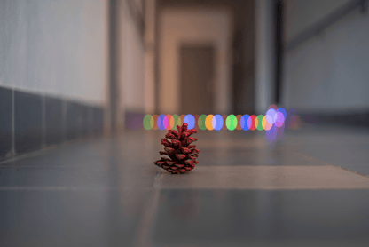 Minolta MD 50mm F1.7 Cine Mod Prime Lens w/ Anamorphic Bokeh | Sony E-mount! - TerPhoto Store