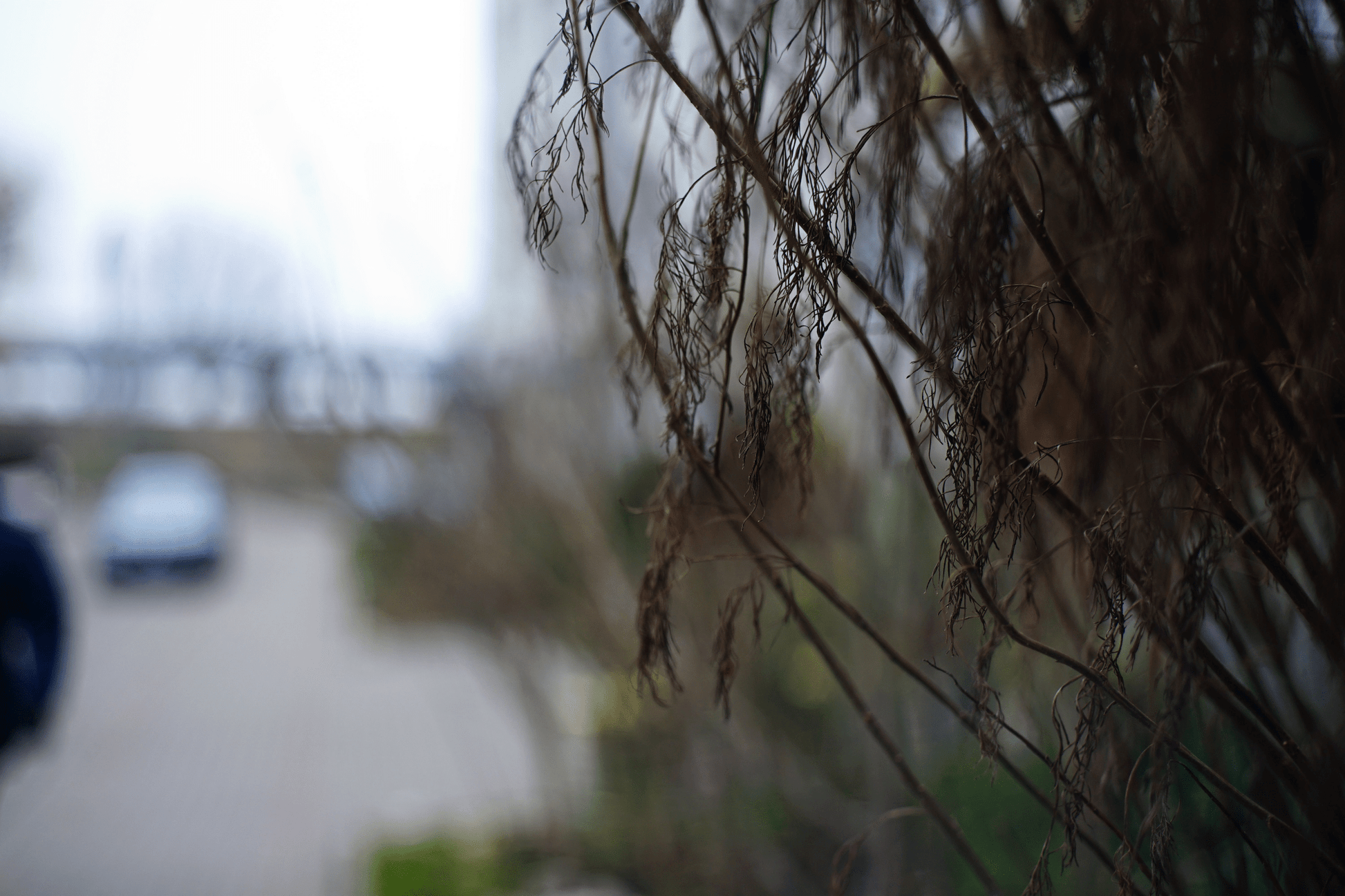 Minolta MD Rokkor 45mm F2 Cine Mod Lens w/ Anamorphic Bokeh For Sony E - mount! - TerPhoto Store