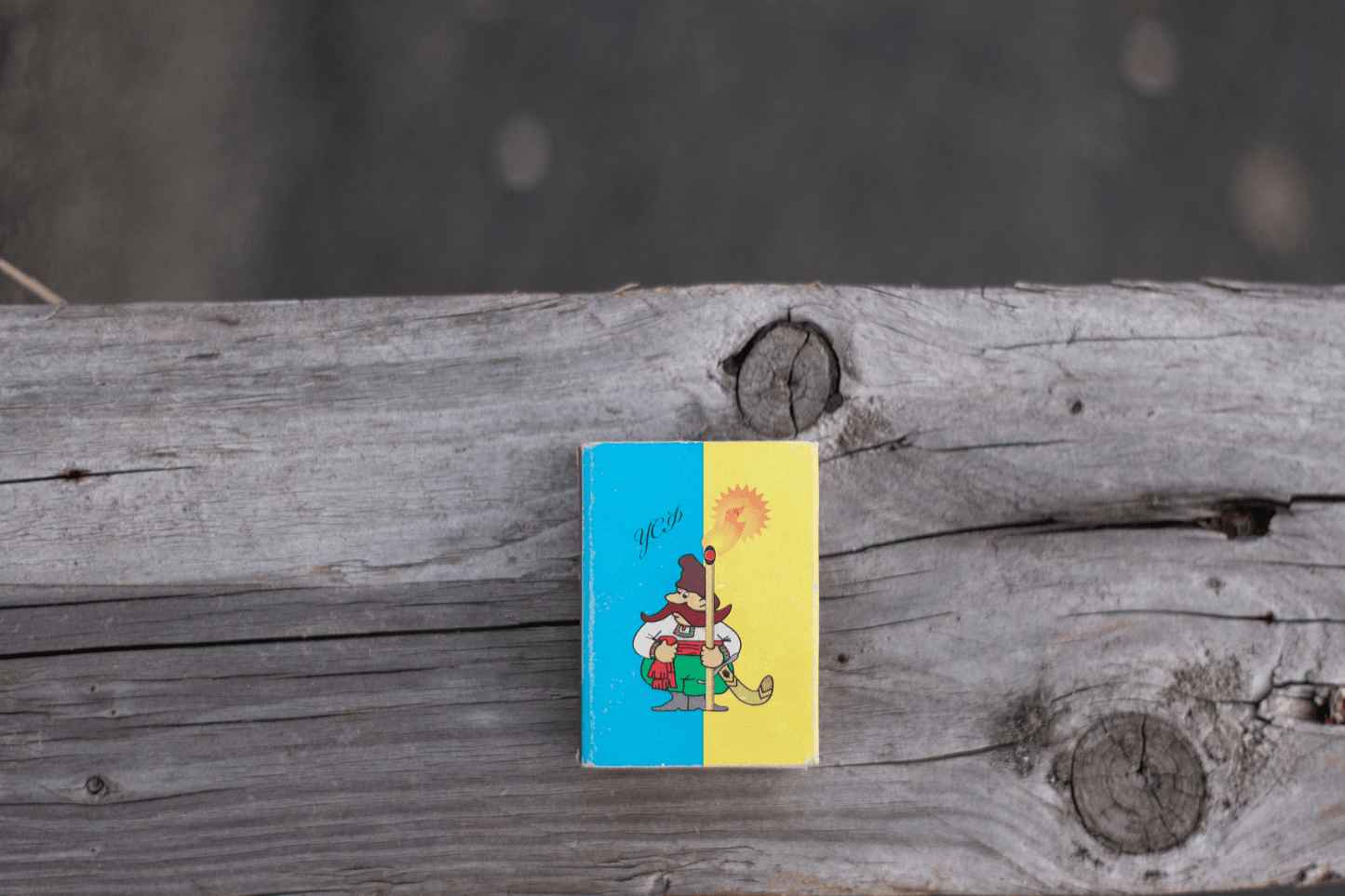 Olympus Zuiko Auto-S 50mm F1.8 Cine Mod lens w/ Anamorphic Bokeh | Canon EF! - TerPhoto Store