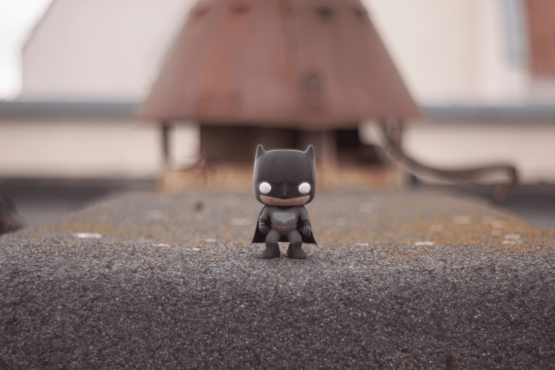 Pentacon Electric 50mm F1.8 Cine Mod Prime Portrait Lens | Canon EF mount! - TerPhoto Store