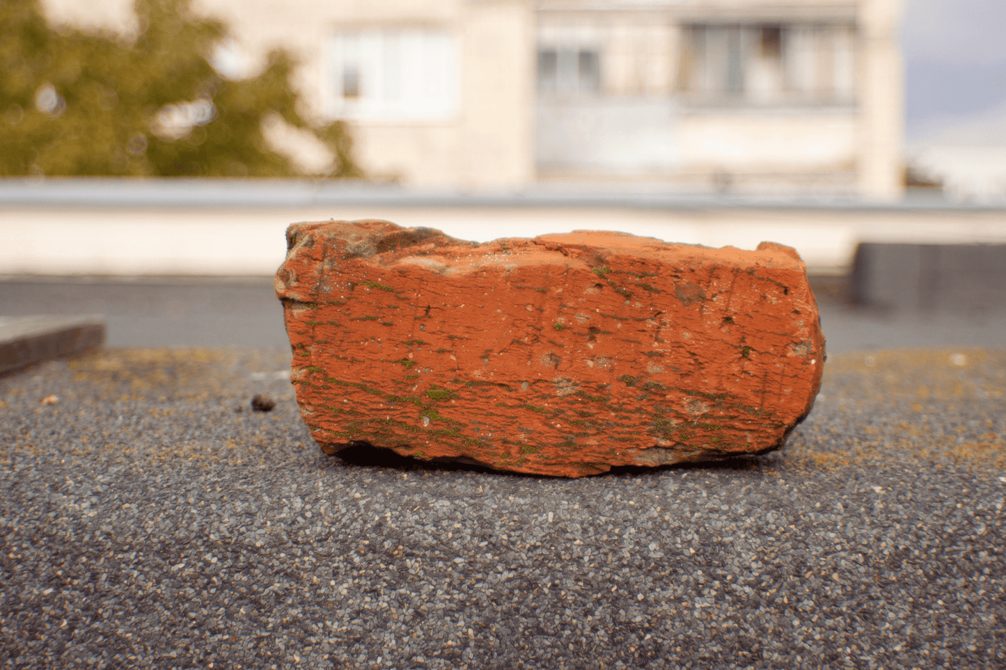 Petri MC 35mm F2.8 Cine Mod Prime Vintage Lens | Canon EF Mount! - TerPhoto Store