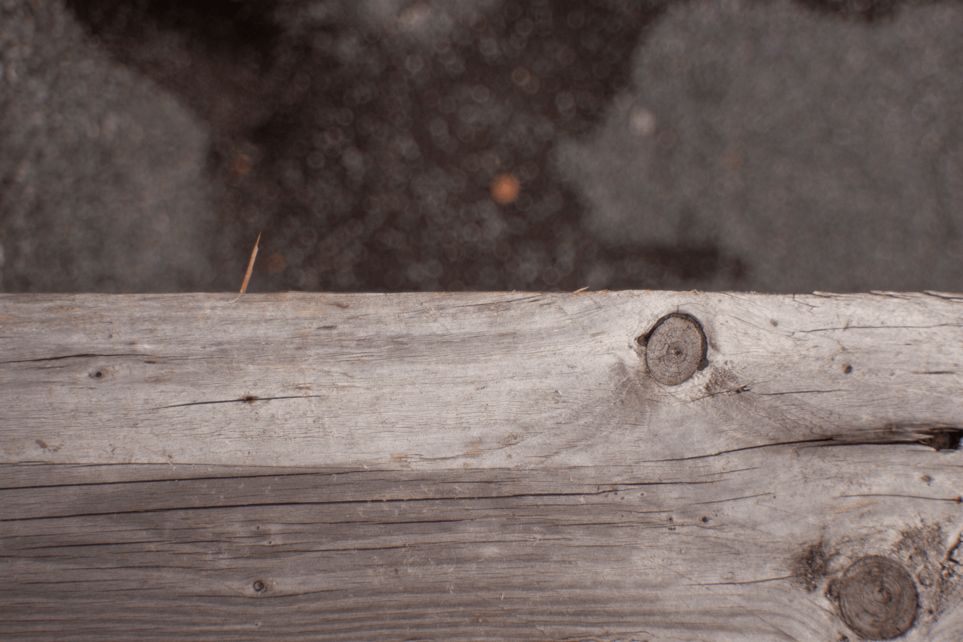 Petri MC 35mm F2.8 Cine Mod Prime Vintage Lens | Canon EF Mount! - TerPhoto Store