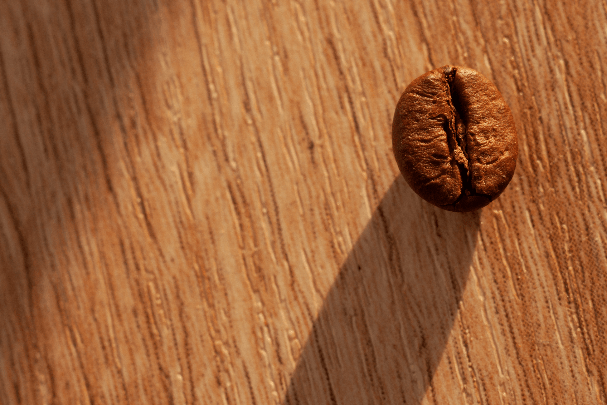 Vivitar MC Macro 55mm F2.8 Cine Mod Lens for Canon EF – Sharp & Smooth Focus! - TerPhoto Store