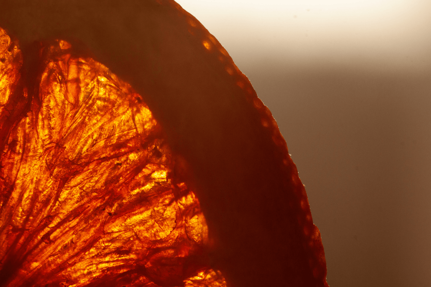 Vivitar MC Macro 55mm F2.8 Cine Mod Lens for Canon EF – Sharp & Smooth Focus! - TerPhoto Store